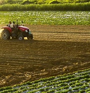 國民經(jīng)濟 | 農(nóng)業(yè)技術(shù)體系